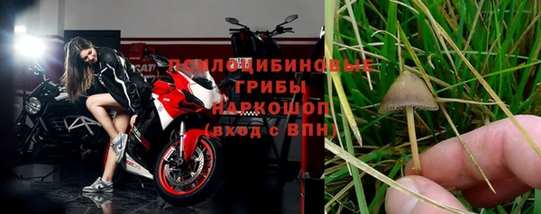прущие крисы Абаза