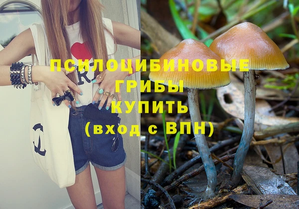 спайс Алексеевка