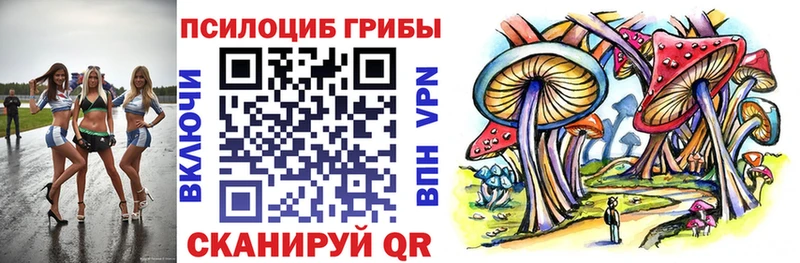 Галлюциногенные грибы Magic Shrooms  Красновишерск 